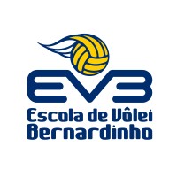 Escola de Vôlei Bernardinho Logo