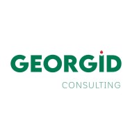 GEORGID CONSULTING Logo