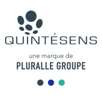 Groupe Quintesens - marque de Pluralle Groupe Logo