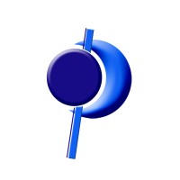 Paysnug Technology Limited Logo