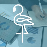 Blue Flamingooo - Personal Branding; An online authority on LinkedIn Logo
