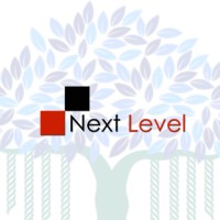 Next Level Education Logo