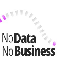 NoDataNoBusiness Logo