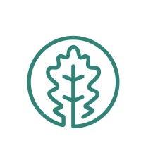 Oaktonis Consulting Logo