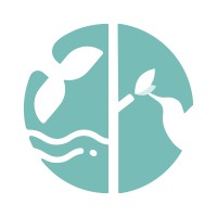 Mytreety Logo