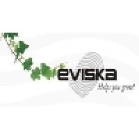 Eviska Infotech Pvt. Ltd. Logo