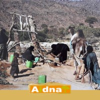 AIDNA, Solidarité Culture et Développement Niger Logo