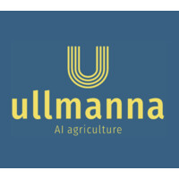 Ullmanna Logo