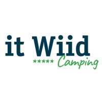 Camping It Wiid Logo