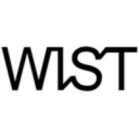 WIST Ltd. Logo
