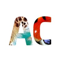 AnimalConcepts Logo