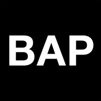 Baschnegger Ammann Partner Logo