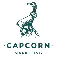 Capcorn Consulting Logo