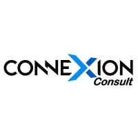 Connexion Consult Consultoria em Tecnologia da Informação Logo