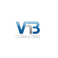 VNB Consulting Services Logo