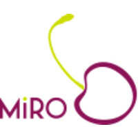 Miro srl - Boissano Logo