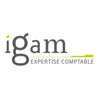 Igam Expertise Comptable Logo