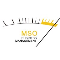 MSO Conseil Logo