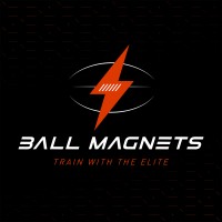 Ball Magnets Logo