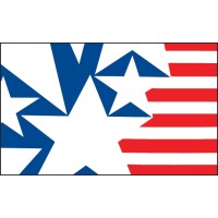 Fondazione Italia USA Logo