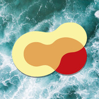 REMEDEX Logo