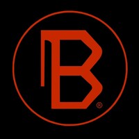 Blaze Technical Services Inc. Logo