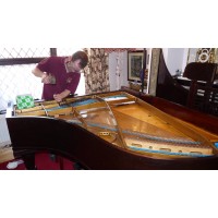 Mcloughlin Piano Tuning Logo