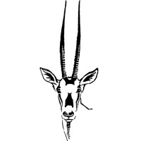 Oryx International Growth Fund Limited Logo