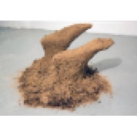 jasmine murrell Logo