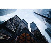 Platinum Global Bridging Finance Logo