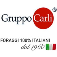 Gruppo Carli Logo