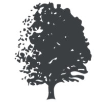 SWARZ Asociados S.A. de C.V. Logo