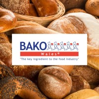 Bako Wales Logo