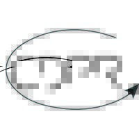 CDPR Logo