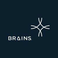 Brains Solvers Logo