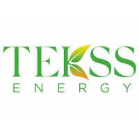 TEKSS Logo
