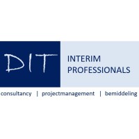 DIT Interim Professionals Logo