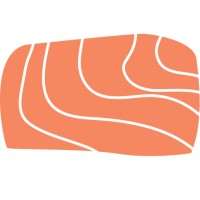 Somon Teknoloji Logo