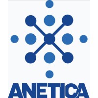 ANETICA Consulting Private Limited Logo