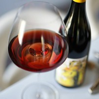 Sips Around The Globe Logo