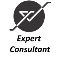 YD Expert Consultant LLC Logo