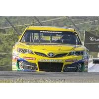 Team Africa NASCAR Project Logo