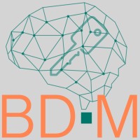 Braindriven Marketing Logo