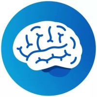 Mental Sphere Logo