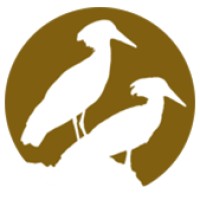 Hammerkop Migration Camp Logo
