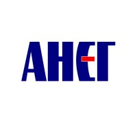 ANEG Logo