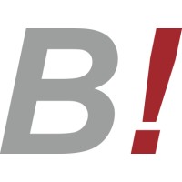 BI-Consulting GmbH & Co KG Logo