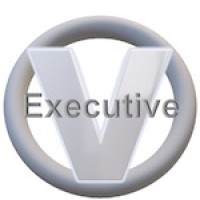 Virtual Executive Logo