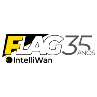 Flag Intelliwan Oficial Logo