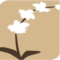 Westerlay Orchids Logo